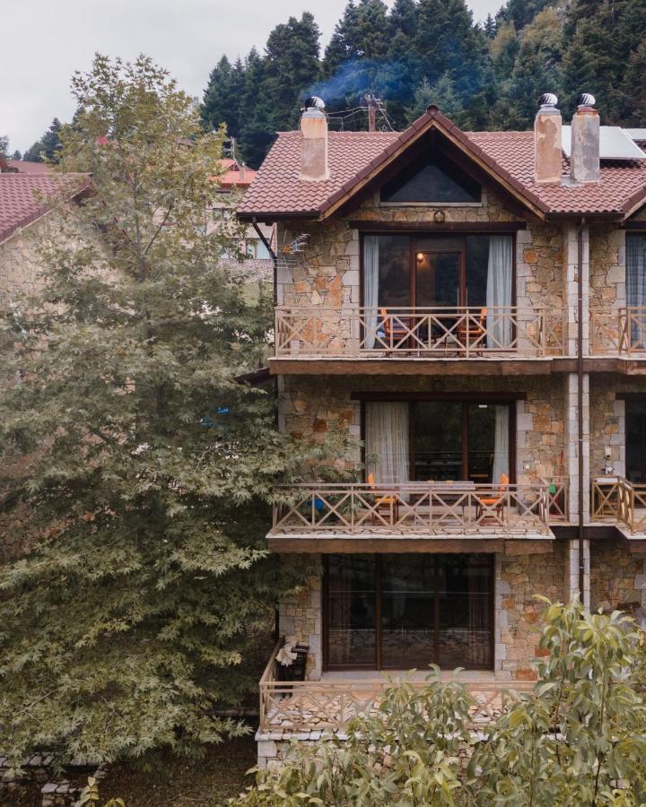 Parnassus Dreamwood Chalet Eptálofos Eksteriør bilde