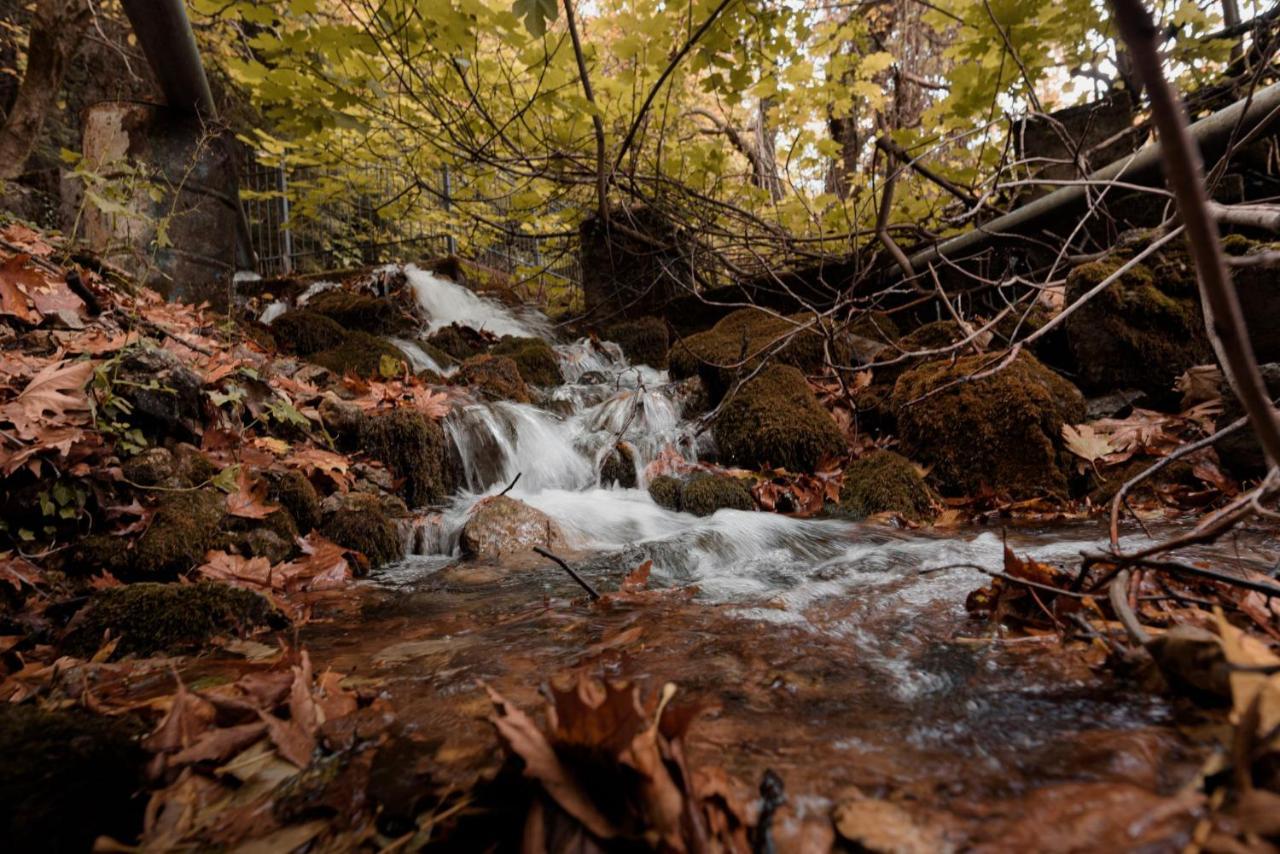 Parnassus Dreamwood Chalet Eptálofos Eksteriør bilde